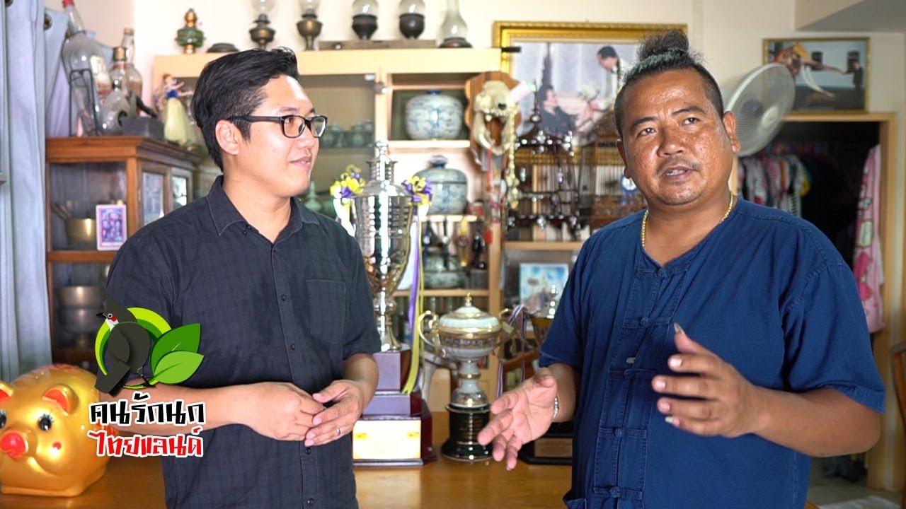 แต่งนกก่อนแข่ง - คนรักนกไทยแลนด์ EP.247