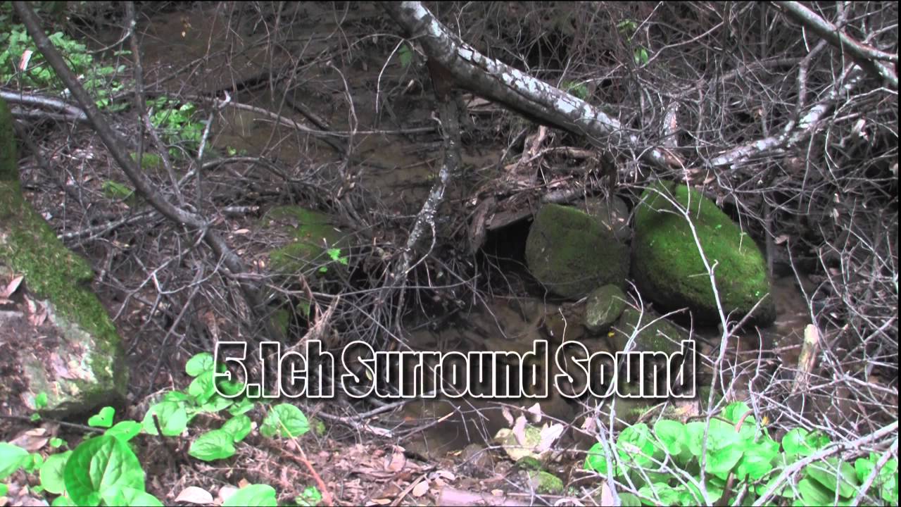 Canon SM-V1 5.1ch Surround Sound Microphone Test