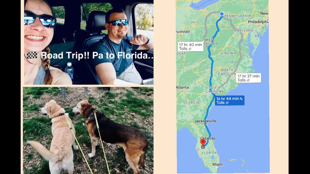 Road Trip with us! Drive from Pennsylvania to Florida #vlog #roadtrip #travel #florida #pensylvania 