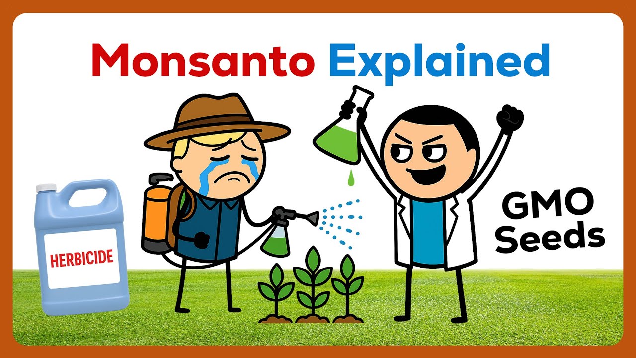 Why Farmers Cannot Replant Their Own Seeds | Monsanto Explained