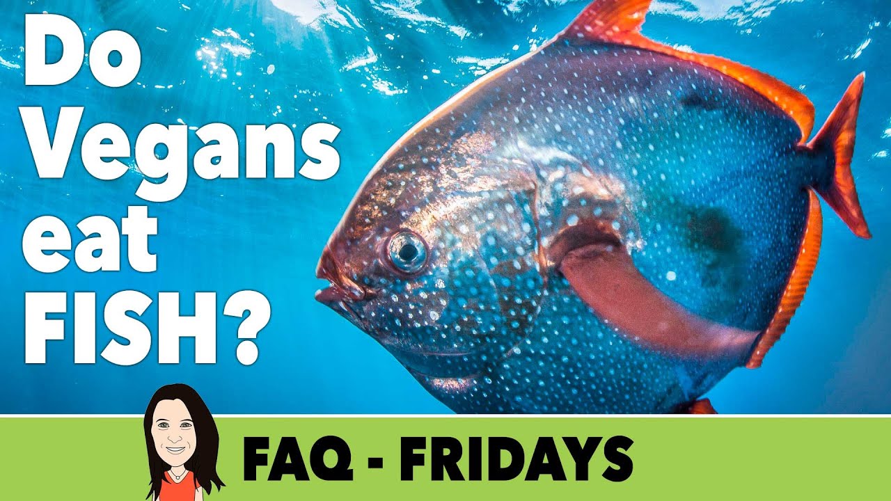 FAQ Friday: Do Vegans Eat Fish?