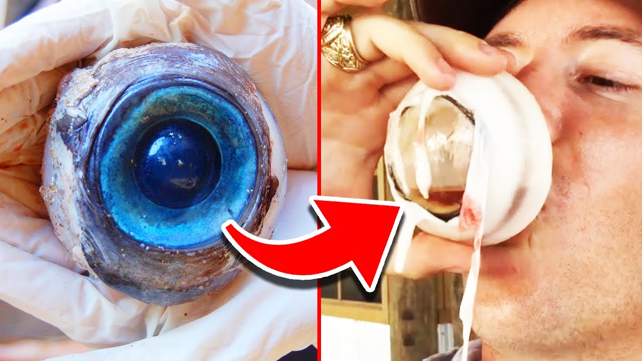 15 Unusual Foods that Only Exist in China