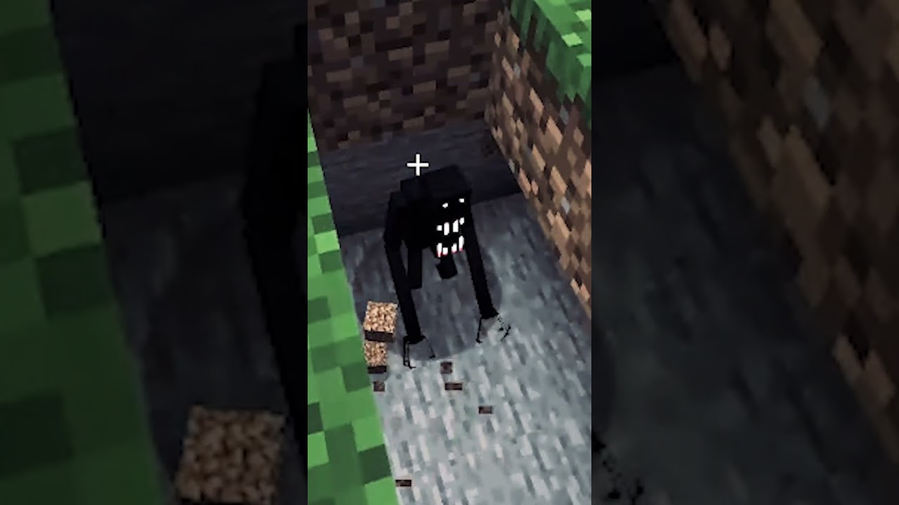 Que raro perro :( #mods #hermanos #mascotas #minecraft #minecraftshorts #memes #streamer #gaming