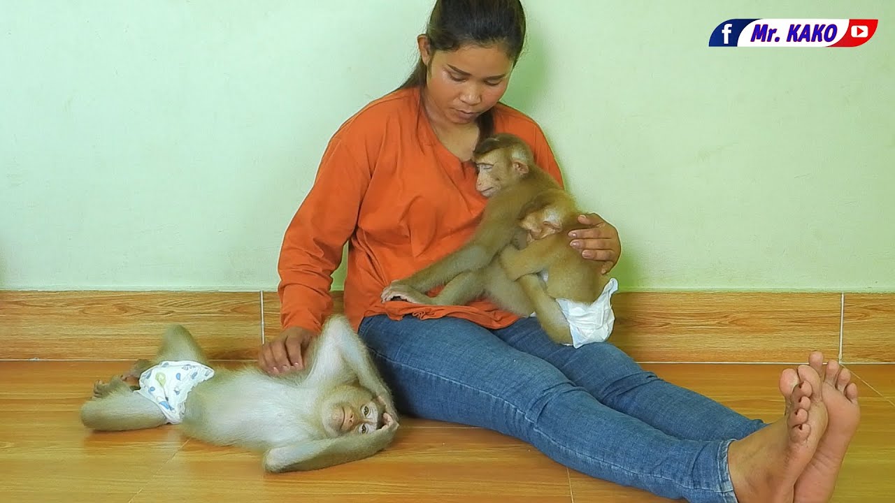 Mr. Kako Family | Mom Take Care Kako Luna And Olly Take A Nap