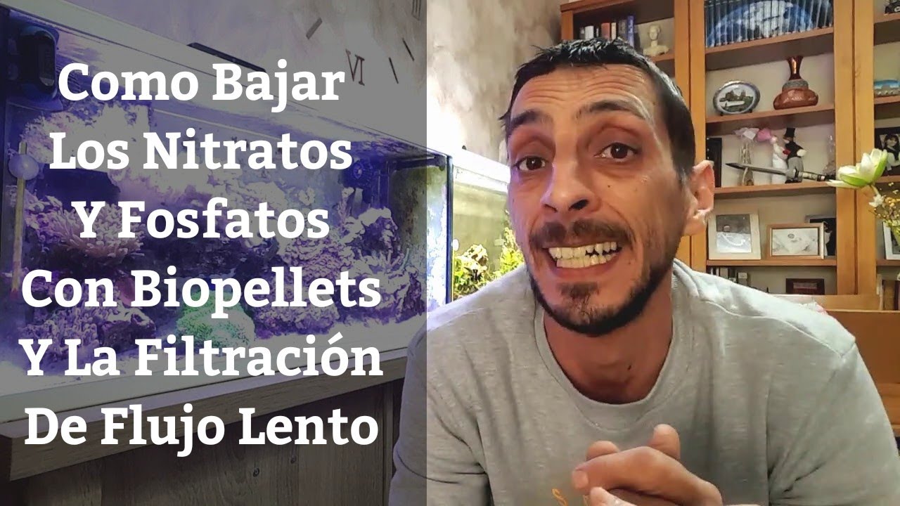🔵 Como Bajar Nitratos Y Fosfatos Con Reactor De Biopellets Y Filtración De Flujo Lento (Acuarios MB)