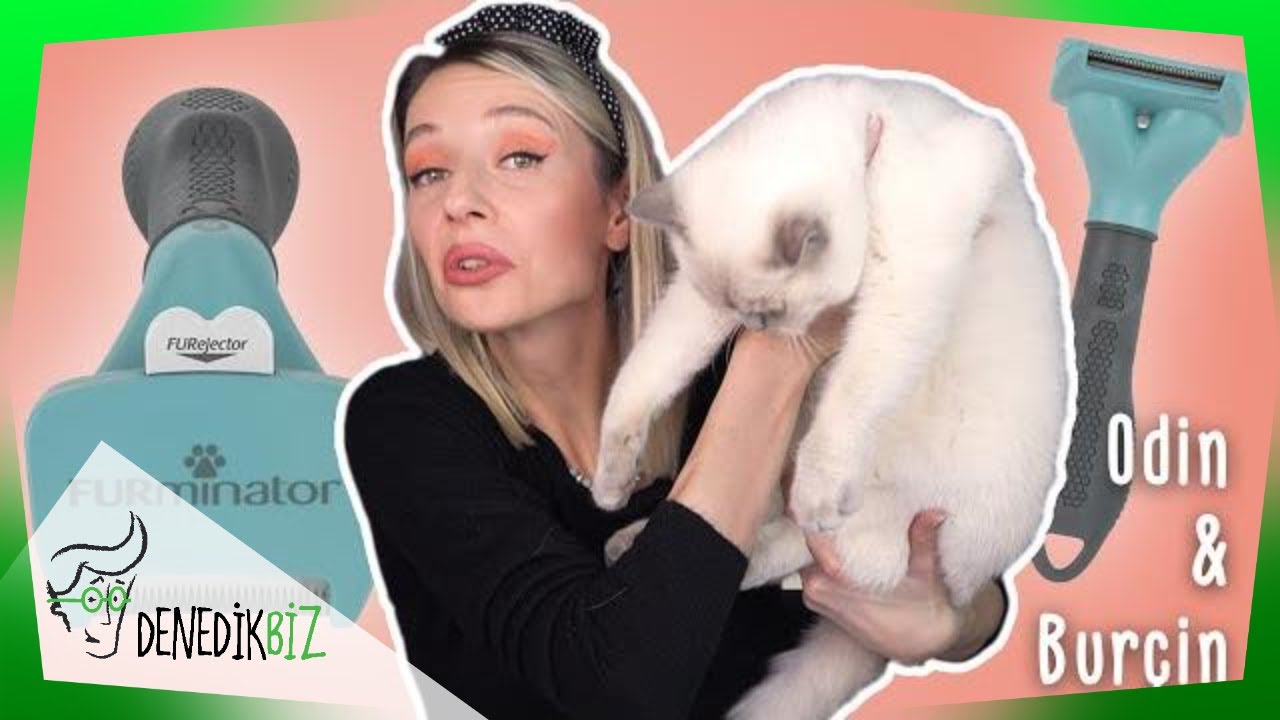 Kedi Tüyü Dökülmesine Son! - Furminator | Burçin & Odin