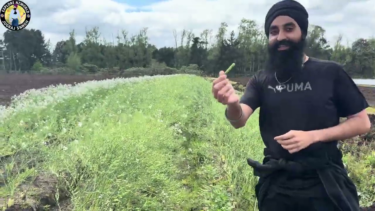 ਨਿਊਜ਼ੀਲੈਂਡ ਏਦਾ ਹੁੰਦੀ ਖੇਤੀ   agriculture farm punjabiya da   ExploreNZworld