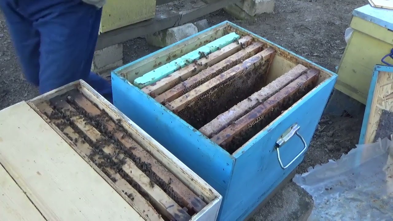 Unificarea unei familii slabe cu un nucleu 