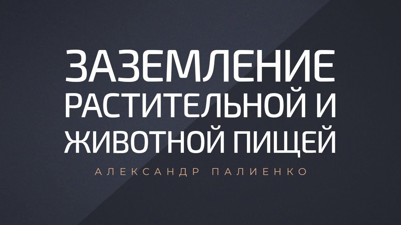 Заземление растительной и животной пищей. Александр Палиенко.