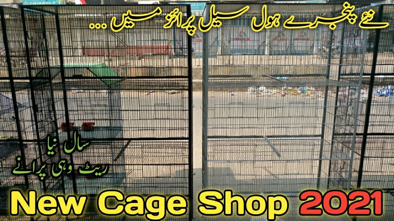 New Cages in Wholesale price in Sharefabad Karachi 17-january-2021 update in urdu/Hindi ||B4BIRDS