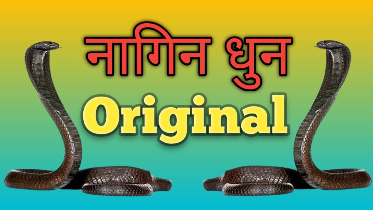 Nagin dhun original || Nagin tune || Nagin song || Original nagin dhun