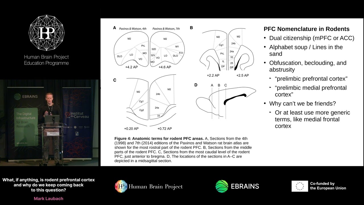 Mark Laubach - What, if anything, is rodent prefrontal cortex and why do we keep coming back (...)