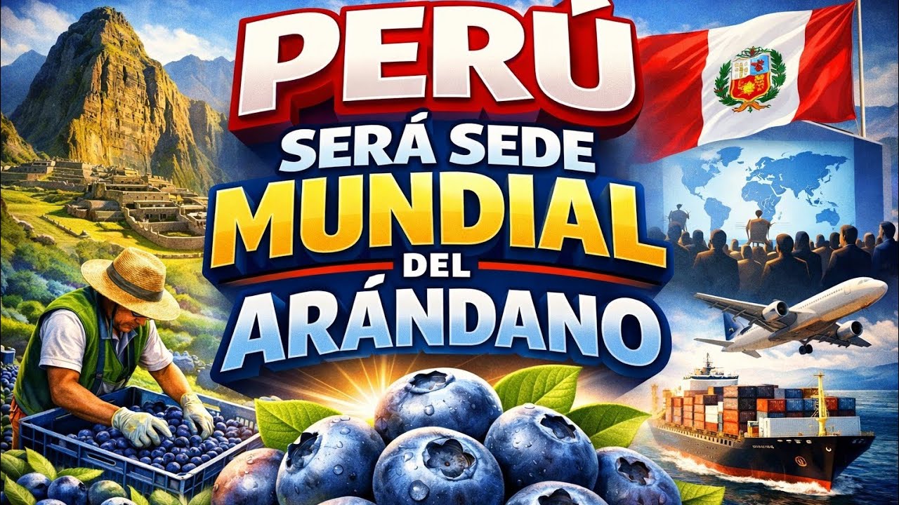 Perú será sede mundial del arándano: lo que realmente significa para la economía