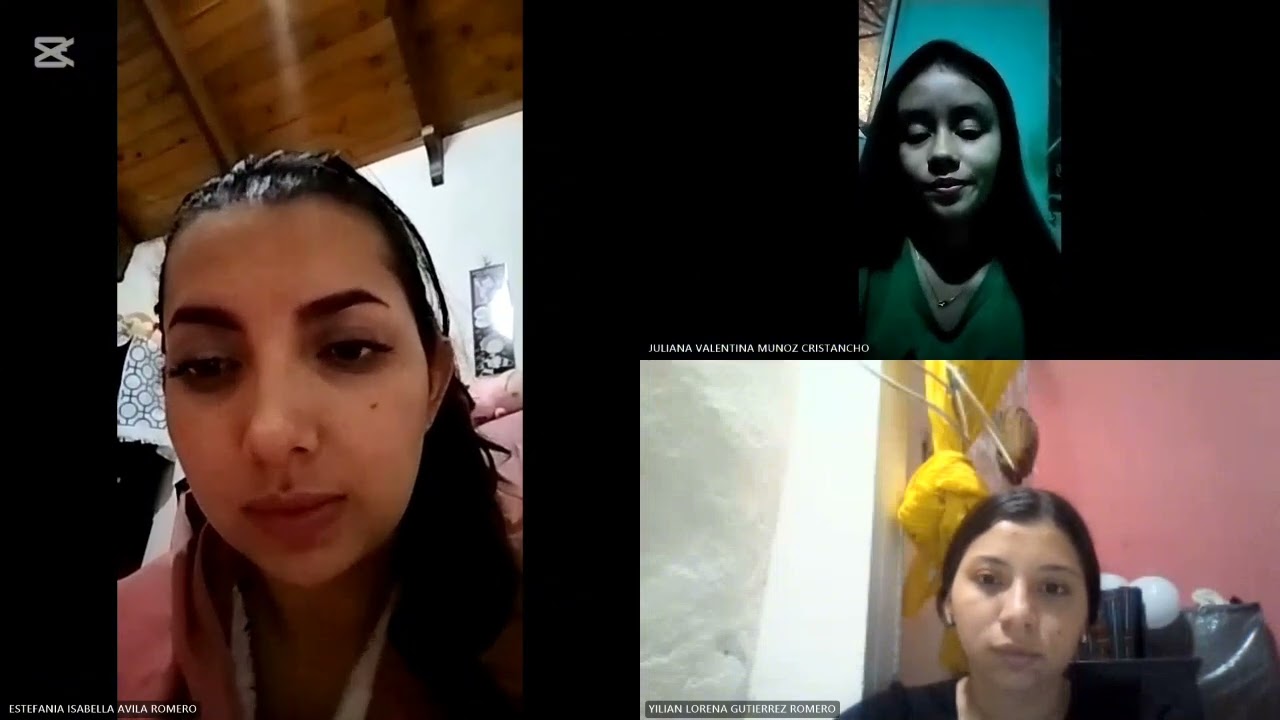 Diálogo del análisis de entrevistas a docentes en ejercicio 