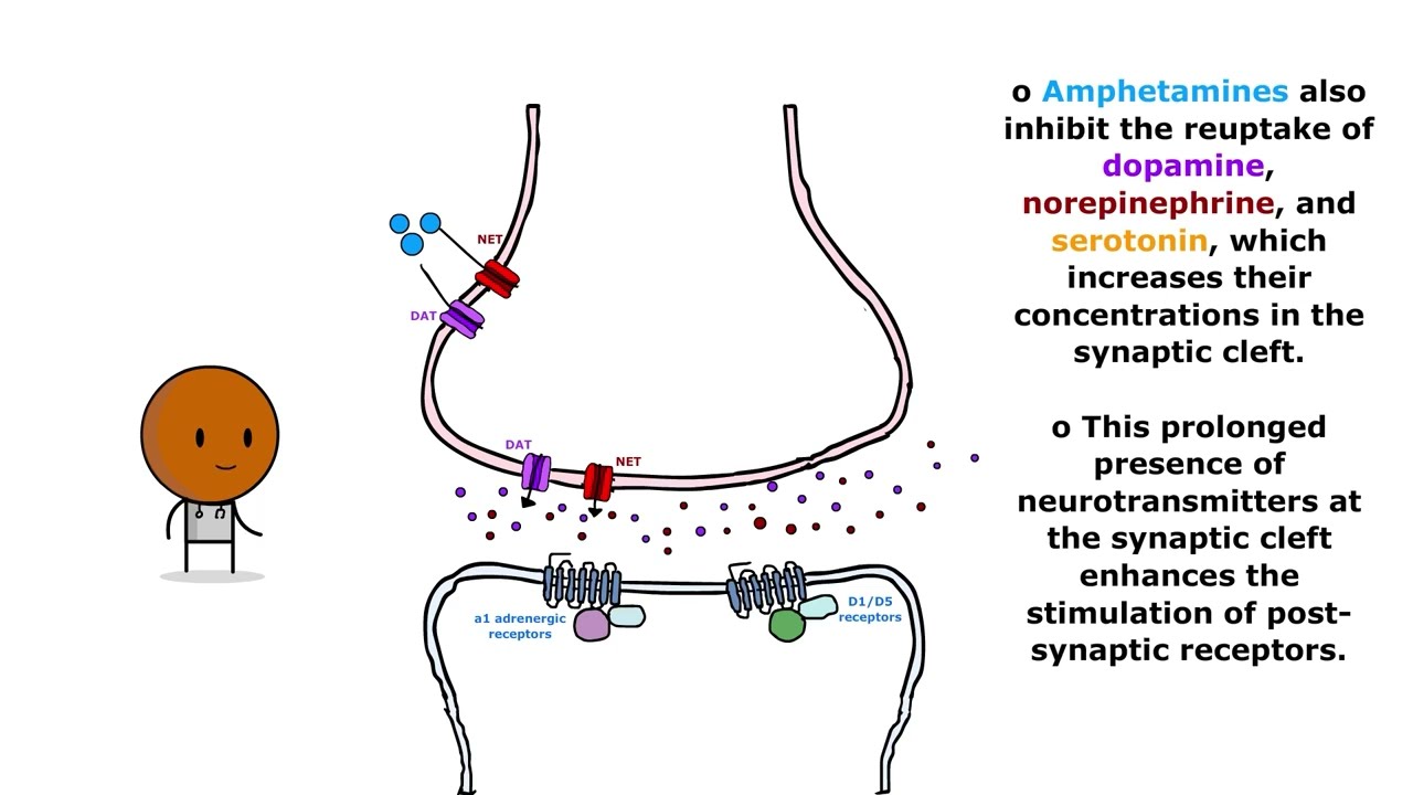 Toxicology Lecture 3: Amphetamine Toxicity