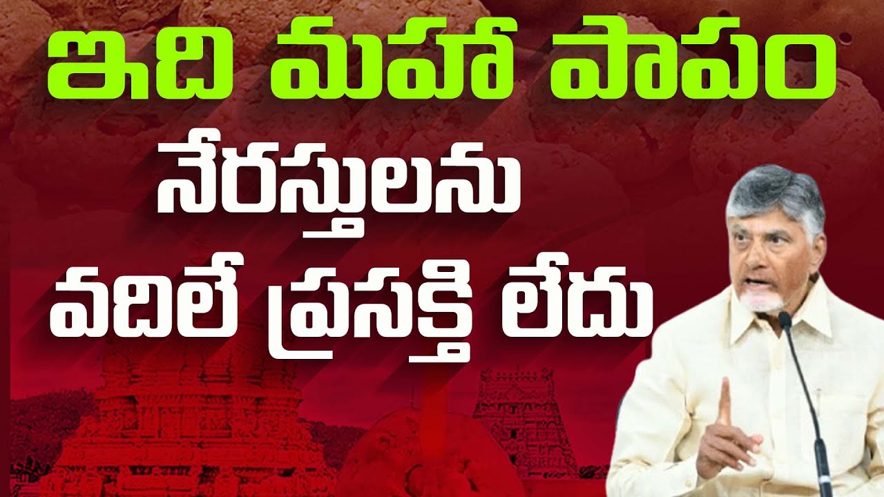 తిరుమల లడ్డు కల్తీ వ్యవహారంలో నేరస్తులను వదిలే ప్రసక్తి లేదు | CM Chandrababu Naidu | CBN Official