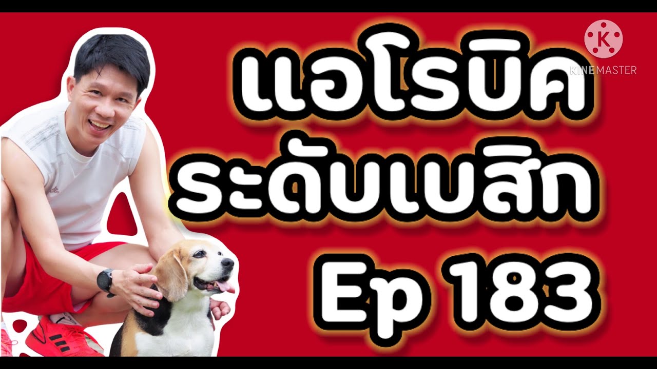 แอโรบิคเพื่อสุขภาพ Ep.183 有氧運動舞蹈 | 有氧運動 | 有酸素 | 泰國 | 在家 | 舞蹈家 | 好気性ダンス |  踊り子 |  自宅で |  タイ語 | 有氧健康