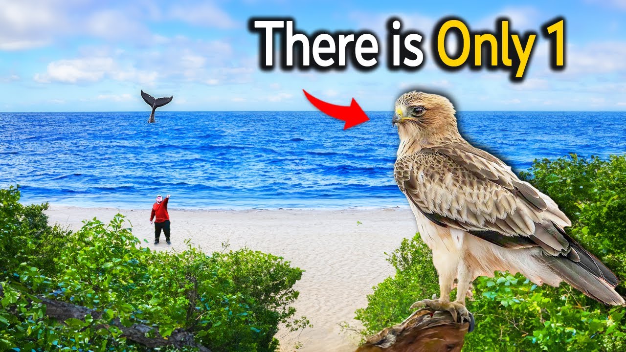 Travelling 500 Miles To Find The UK's Rarest Animal