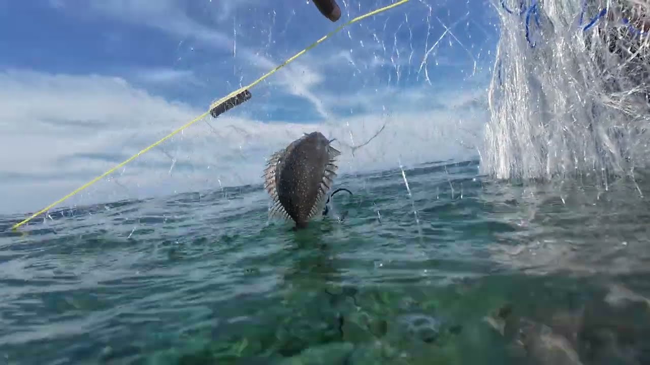 BANYAK HASILNYA MENJARING IKAN SPOT LAMA