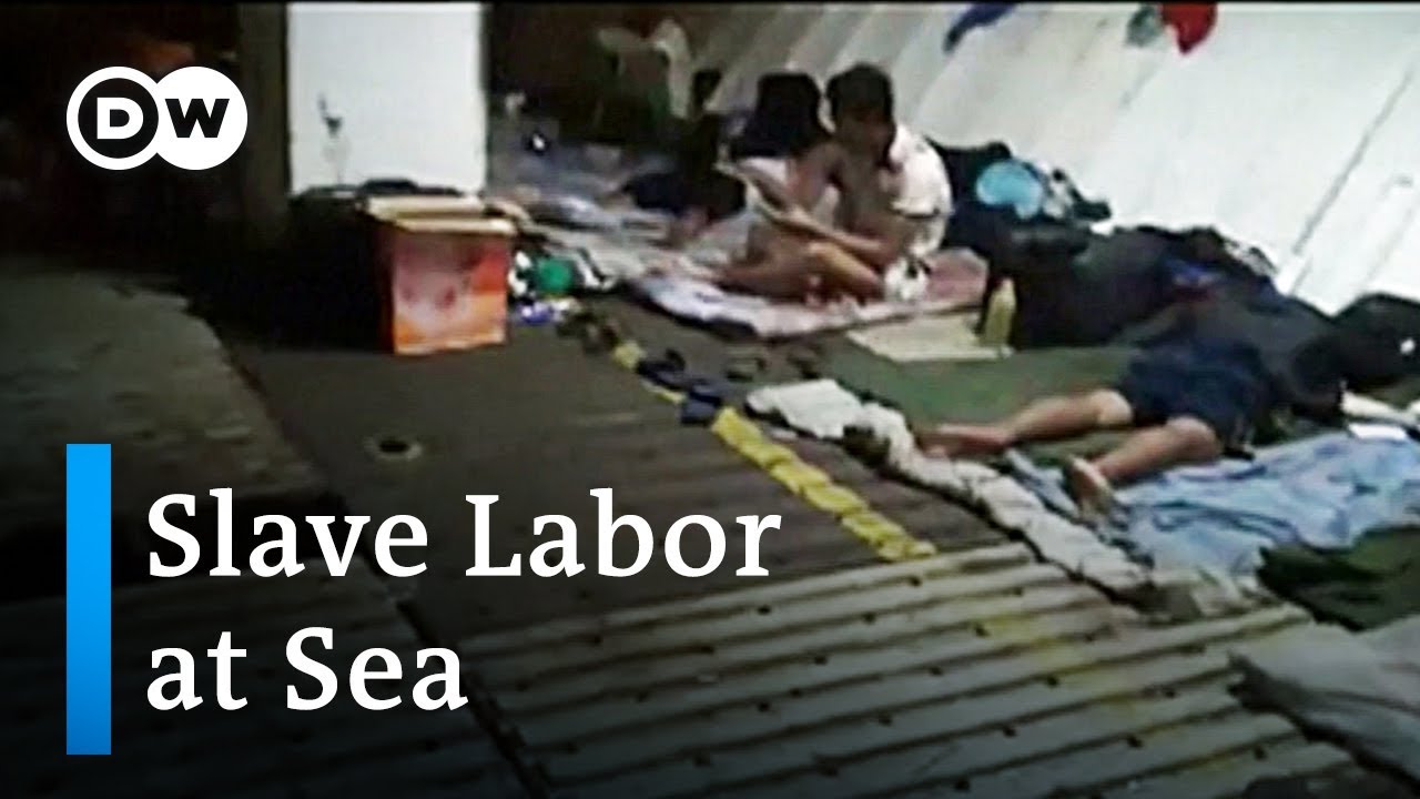 Is the fishing industy tricking people into slave labor? | DW News