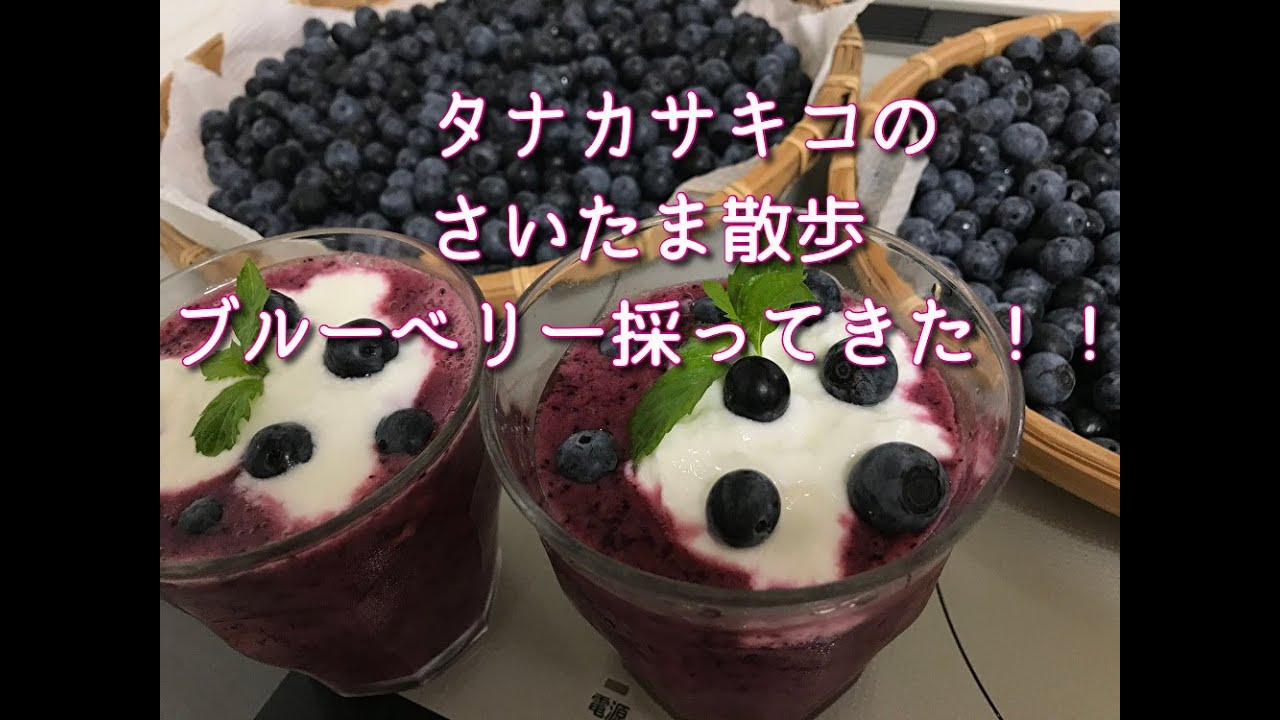 タナカサキコのさいたま散歩篇　ブルーベリー採ってきた！！