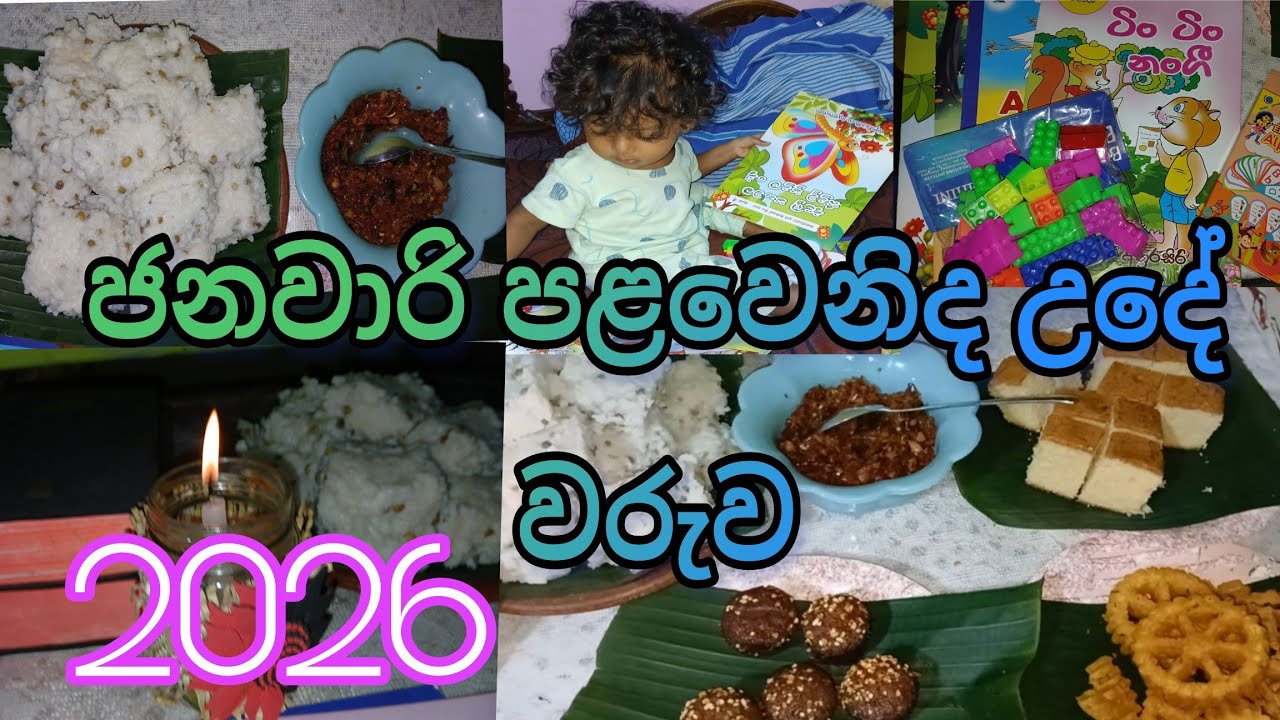 2026 අවුරුද්දේ පළවෙනි උදේ වරුව ගෙවුනේ මෙහෙමයි 🎉🌞🙏/ happy new year  #2026 #minivlog #kaelsmom 