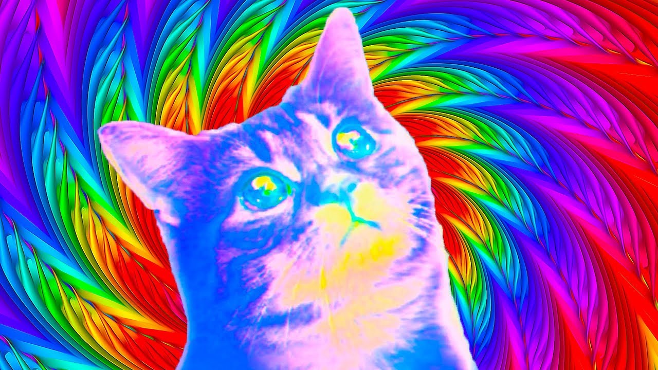 PUSS! Full Game
