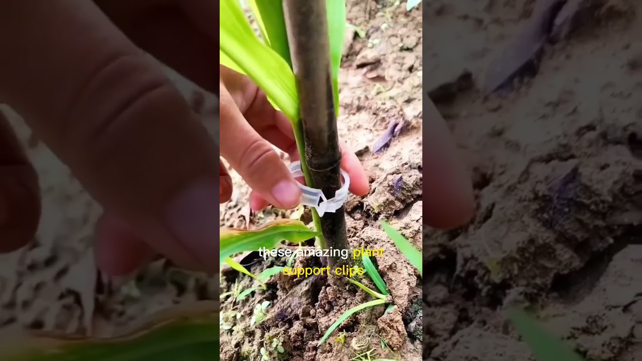 Product Link in the Comments! Green Garden Safe Plant Support Clips