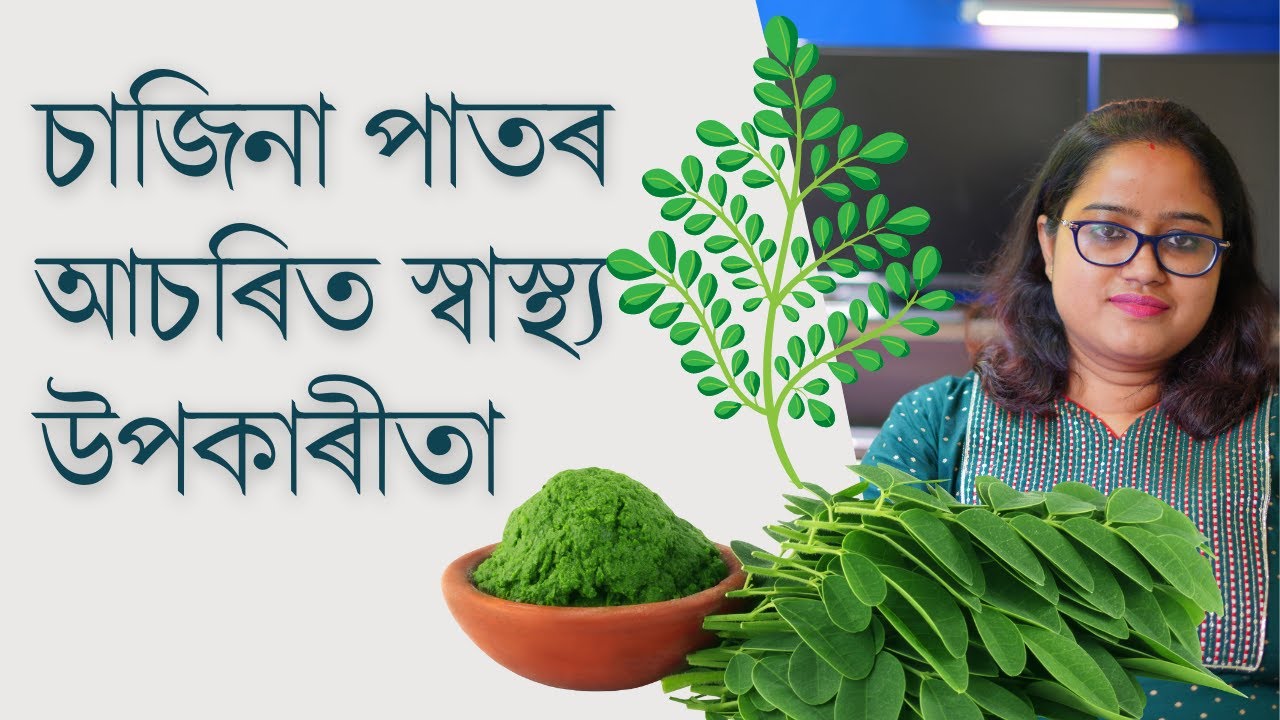 চাজিনা পাতৰ আচৰিত স্বাস্থ্য উপকাৰীতা ।। কেনেকৈ আৰু কিমান খাব লাগে || Dr. Ponkhi Sharma (PT)