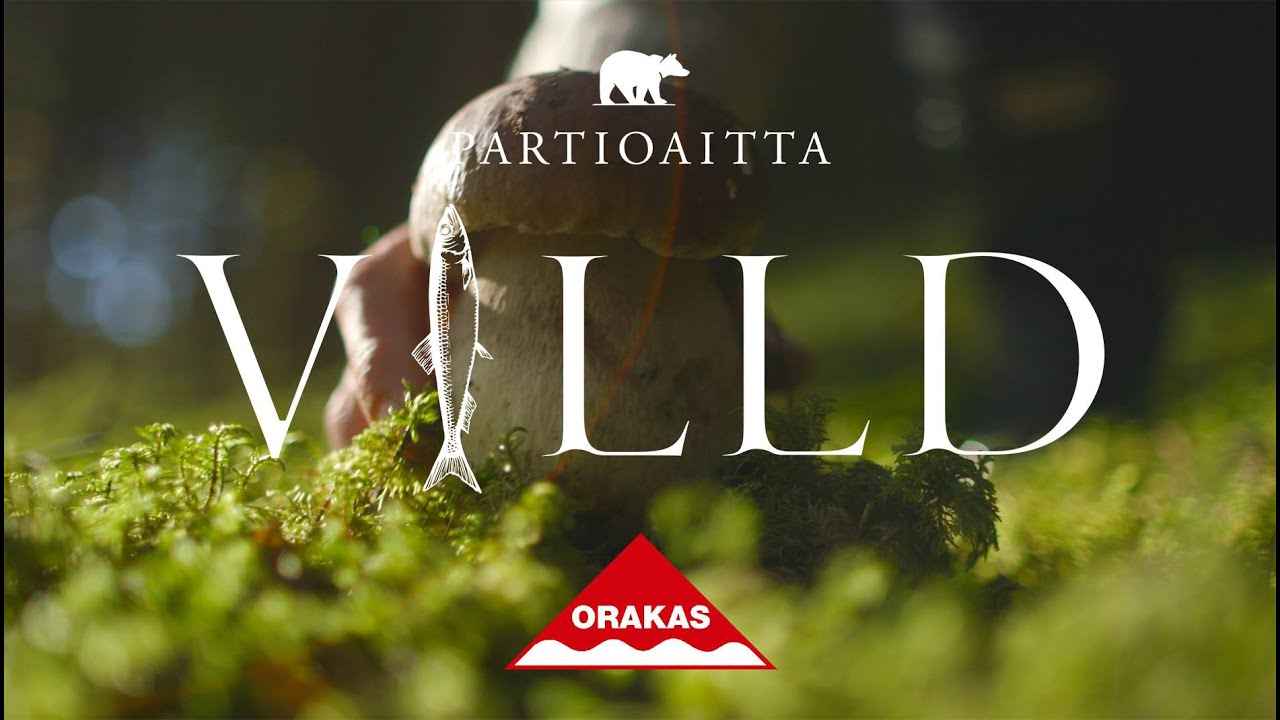 VILLD 13. CEP / HERKKUTATTI