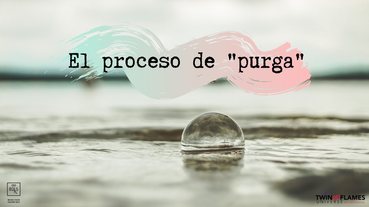 ¿Qué es el proceso de 