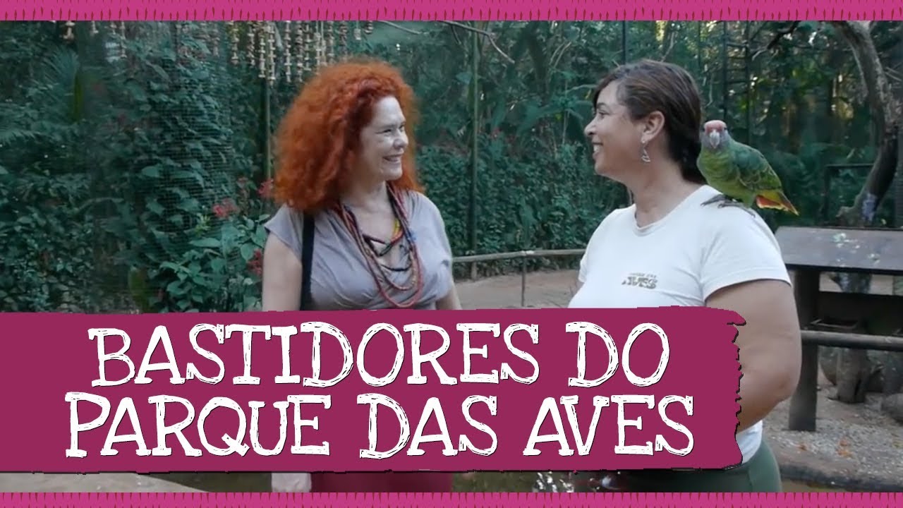 Palavra Cantada | Bastidores do Parque das Aves (Foz do Iguaçu)