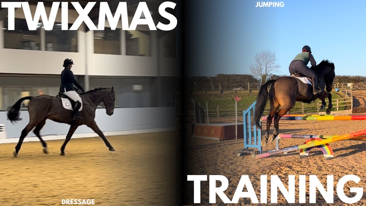 Рождественская тренировка ~ Конкур и выездка ~ Бонусное рождественское видео!