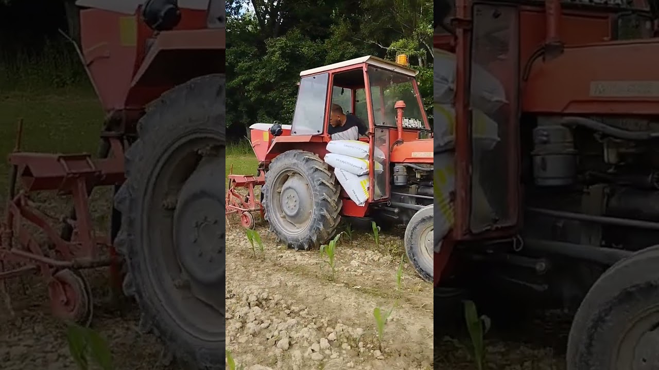 IMT 539_Spartanje i Prihrana kukuruza