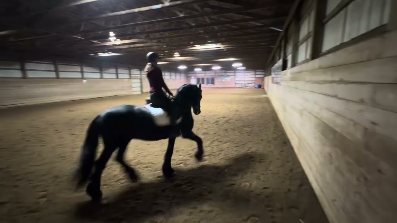 Isabella Paspalovski - Reitse - First Level Test One 