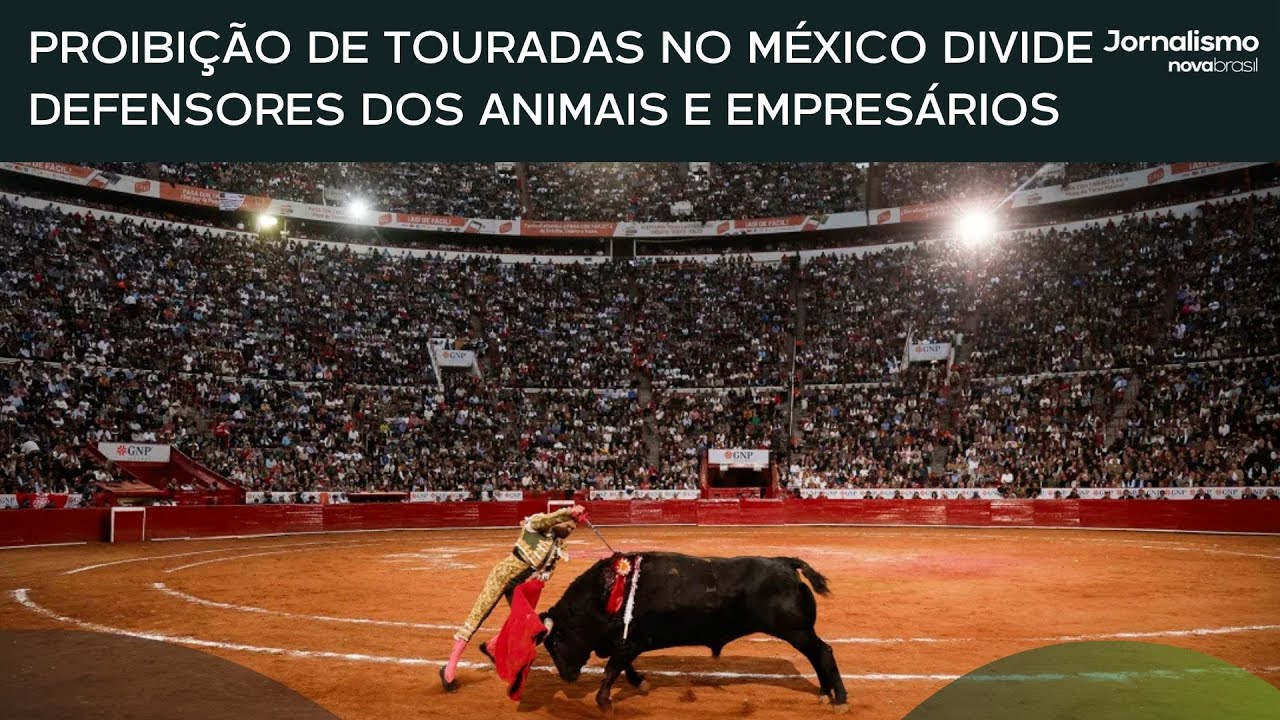 Proibi&ccedil;&atilde;o de touradas no M&eacute;xico divide defensores dos animais e empres&aacute;rios