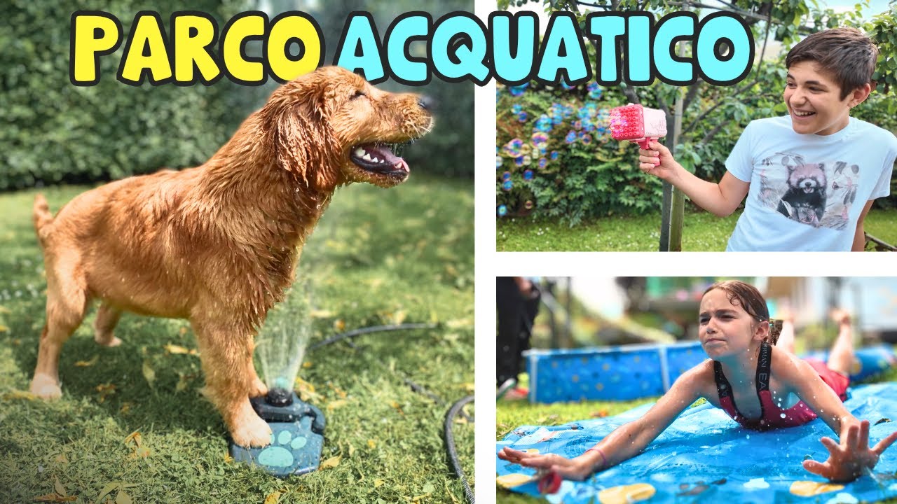 PARCO ACQUATICO PER CANI in Giardino: Cucciolo Gioca con l'Acqua