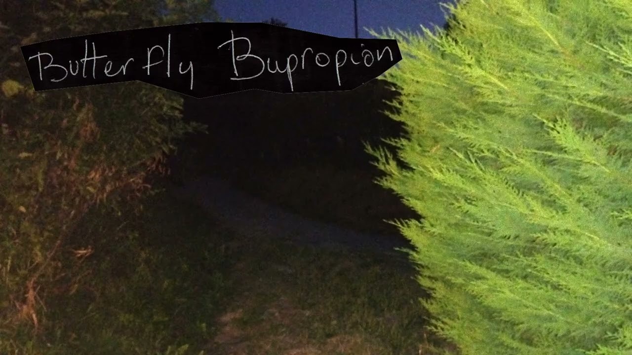 Butterfly Bupropion - Ian Curtis Labubu REWORK