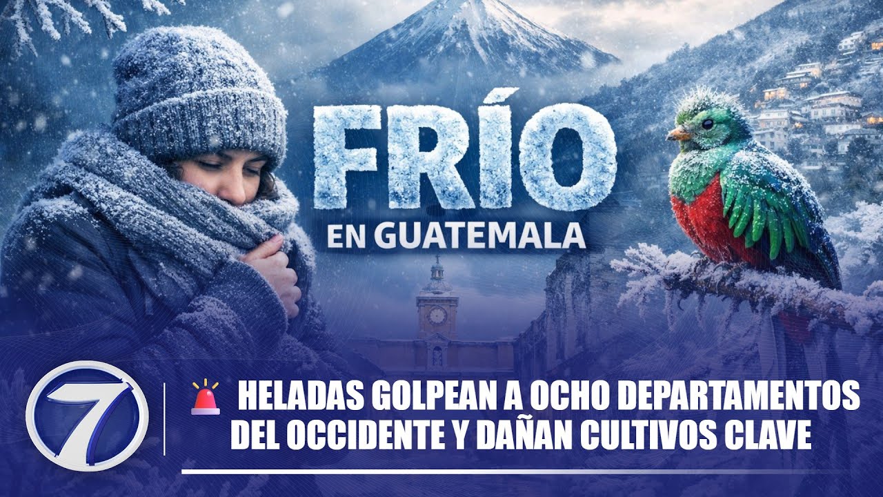Ocho departamentos del occidente, los más afectados por heladas que dañan cultivos