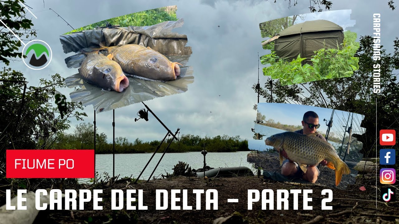 CARPFISHING - Le Carpe del Delta PARTE 2