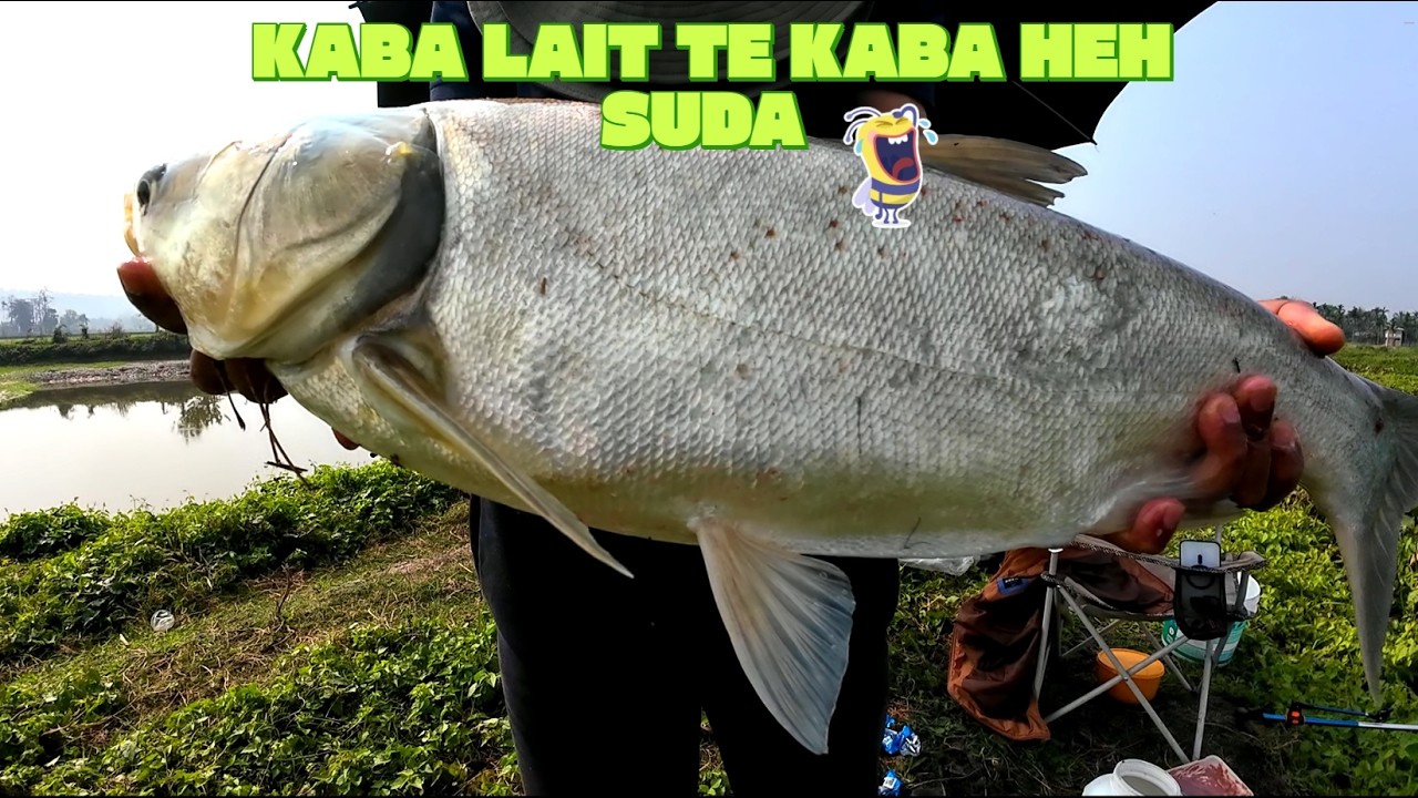 KABA LAIT TE KABA HEH SUDA HAHA.....