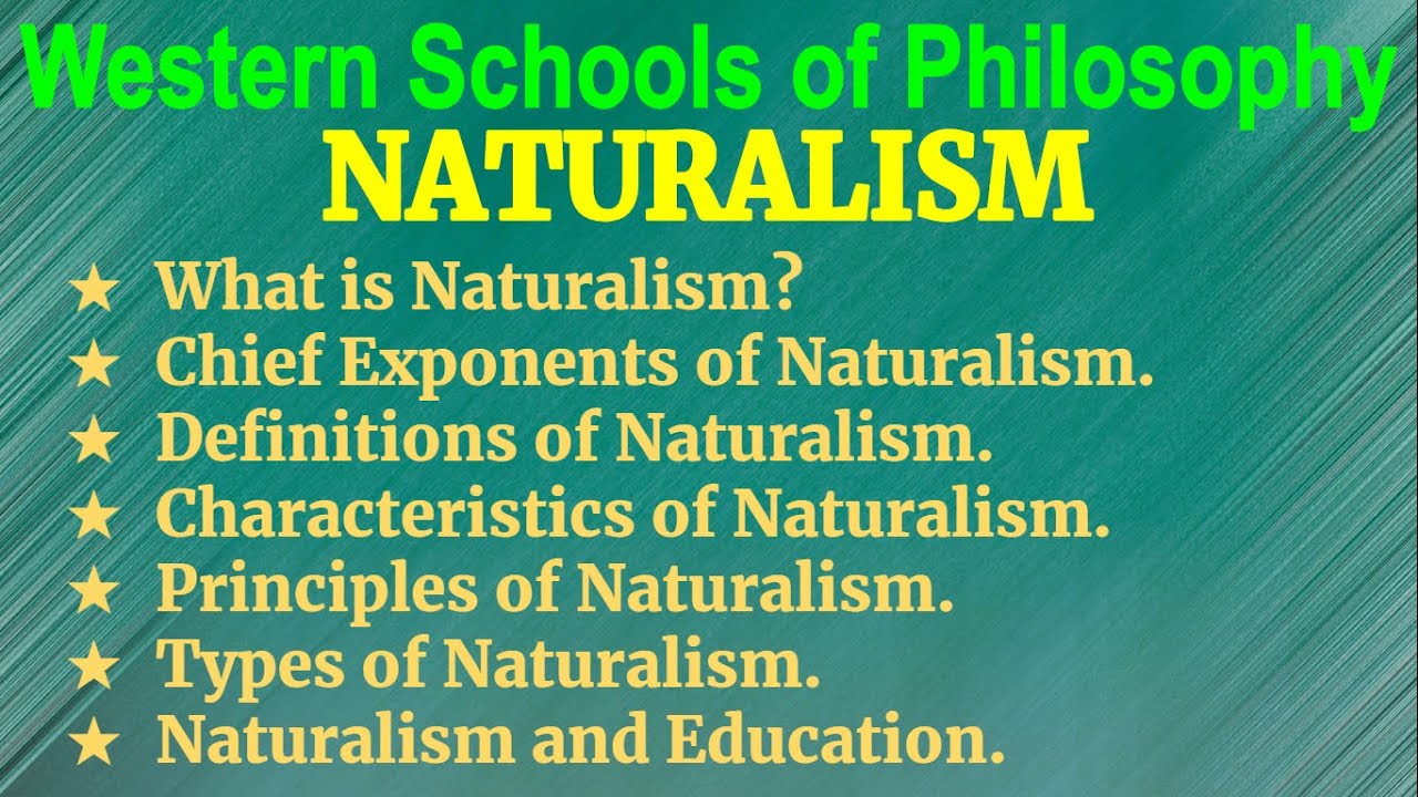 НАТУРАЛИЗМ-Западные Школы Философии 