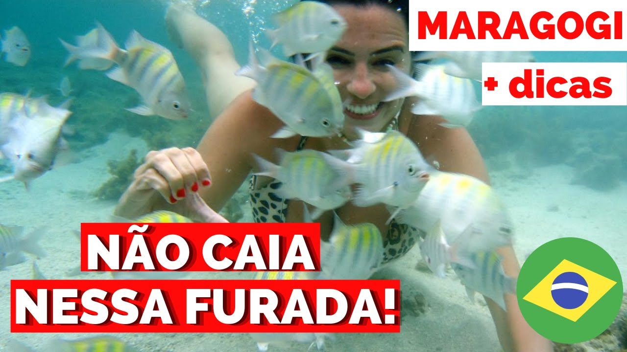 ASSISTA A ESSE VÍDEO antes de ir pra Maragogi : Piscinas Naturais (Galés de Maragogi)