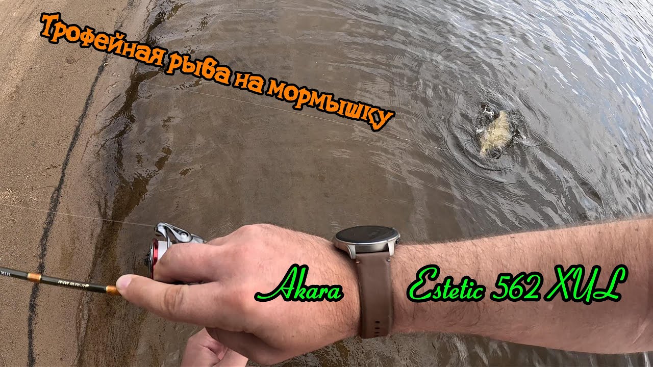 Трофейная рыба на мормышку. Akara Estetic 562 XUL