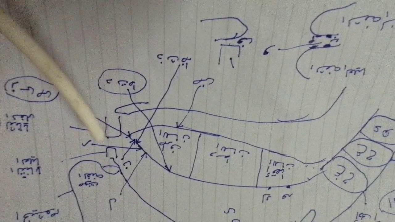 (مخارج الحروف) التجويد المبسط للمبتدئين