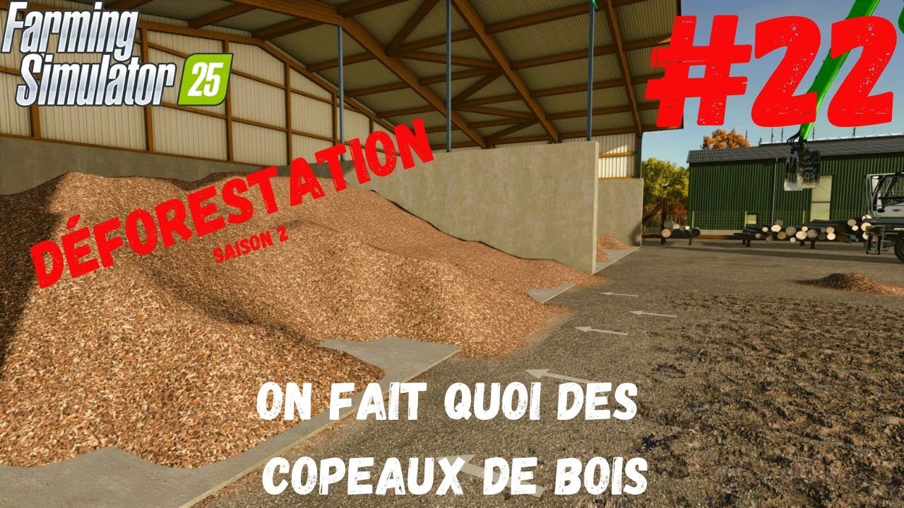 on fait quoi des copeaux de bois #22 (fs25)