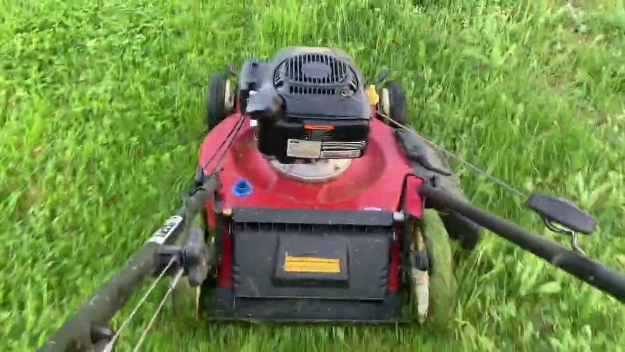 Mowing tall grass with the Toro Recycler 22 inch Lawnmower 1 out of 2 5-13-2022