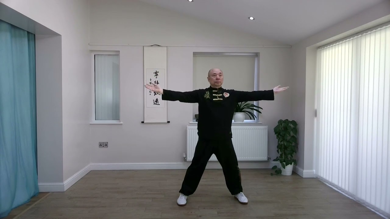Health Qigong Daoyin Yangsheng Gong 12 Fa