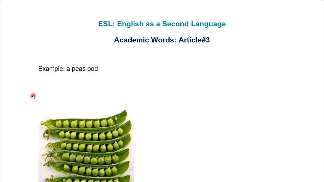 ESL 501- Article#3-Vocabularies