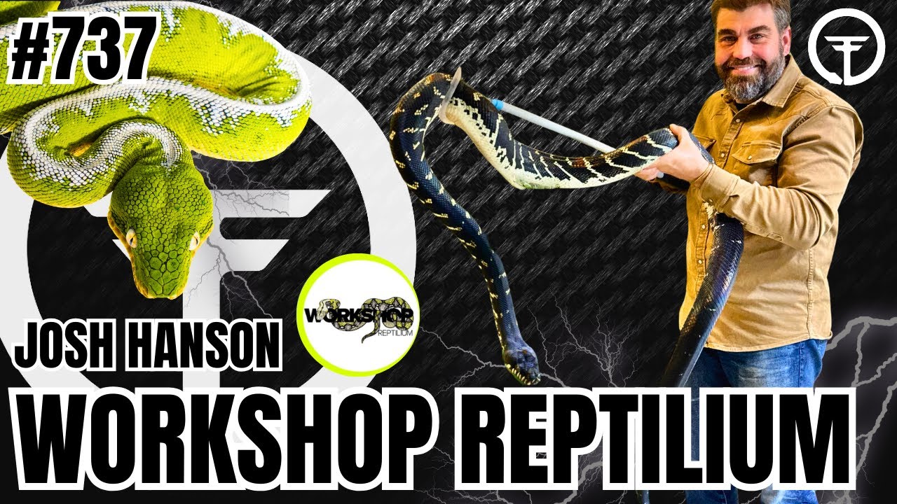 Bigger The Reptile Enclosure, The Better! | Trap Talk With MJ (Live)